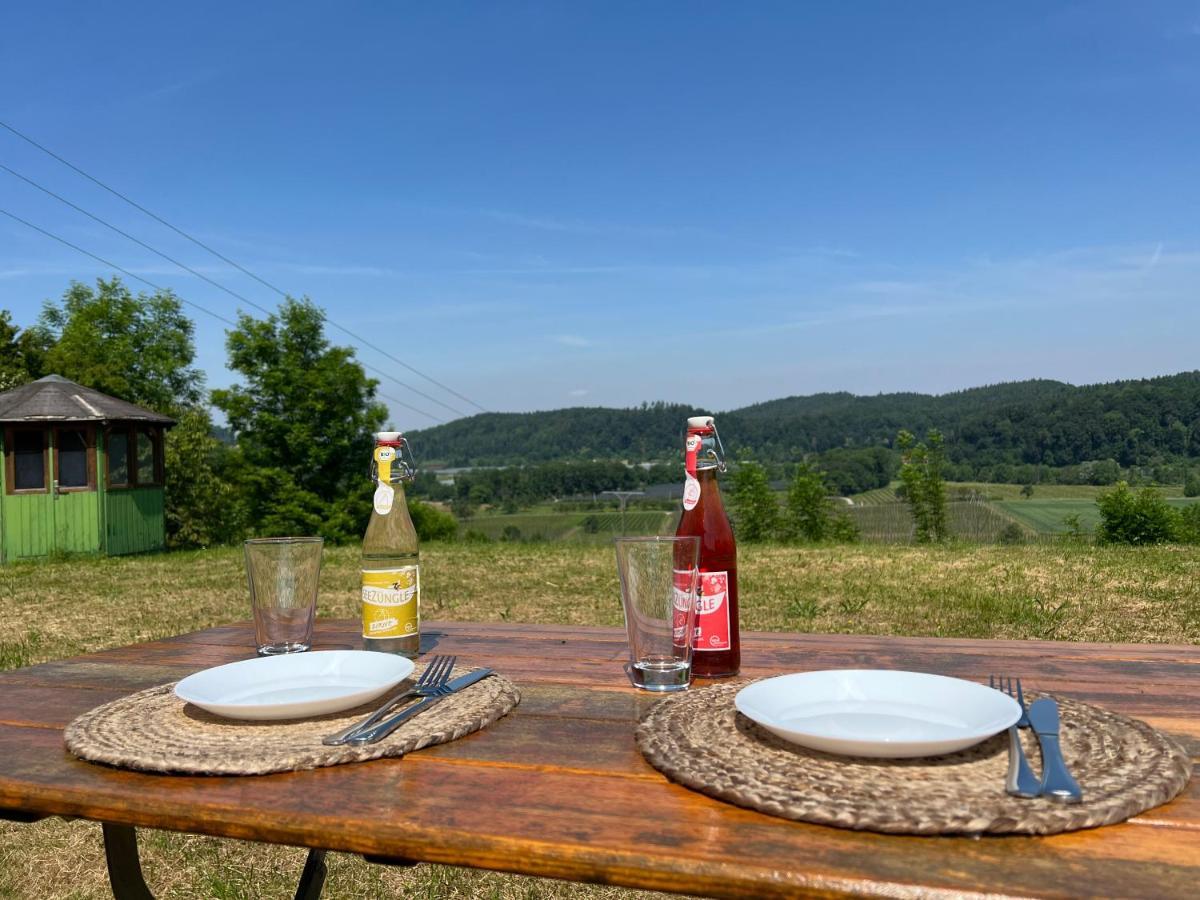 Einzigartiger Panoramablick, Bodensee Und Messe In Der Naehe 泰特南 外观 照片