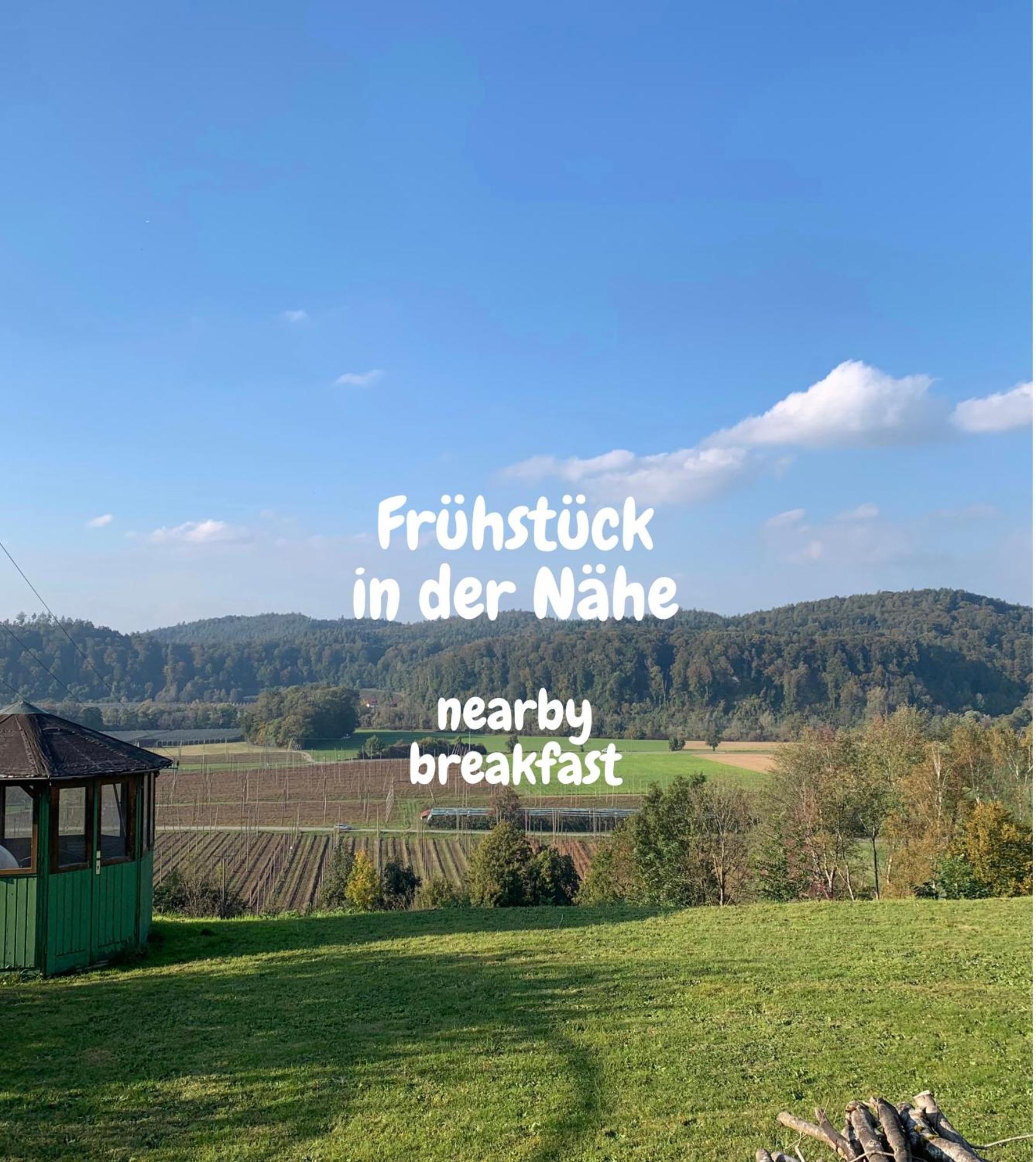 Einzigartiger Panoramablick, Bodensee Und Messe In Der Naehe 泰特南 外观 照片